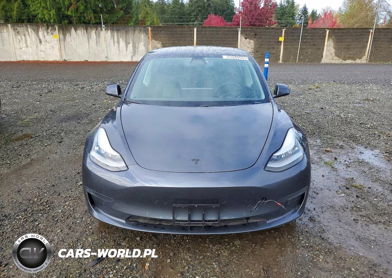 2020 Tesla Model 3 VIN:5YJ3E1EC5LF601644 - 5