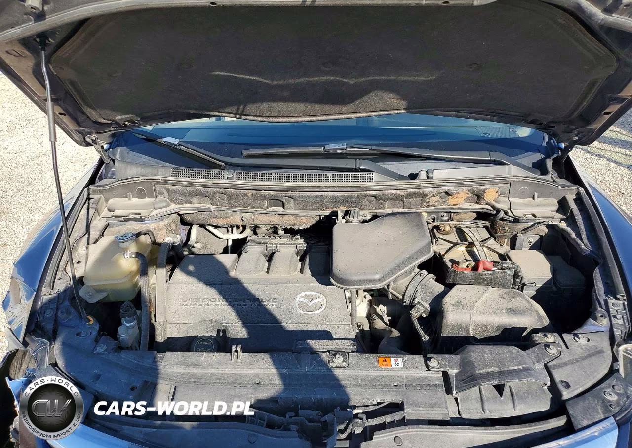 2009 Mazda Cx-9 VIN:JM3TB38AX90180226 - 12