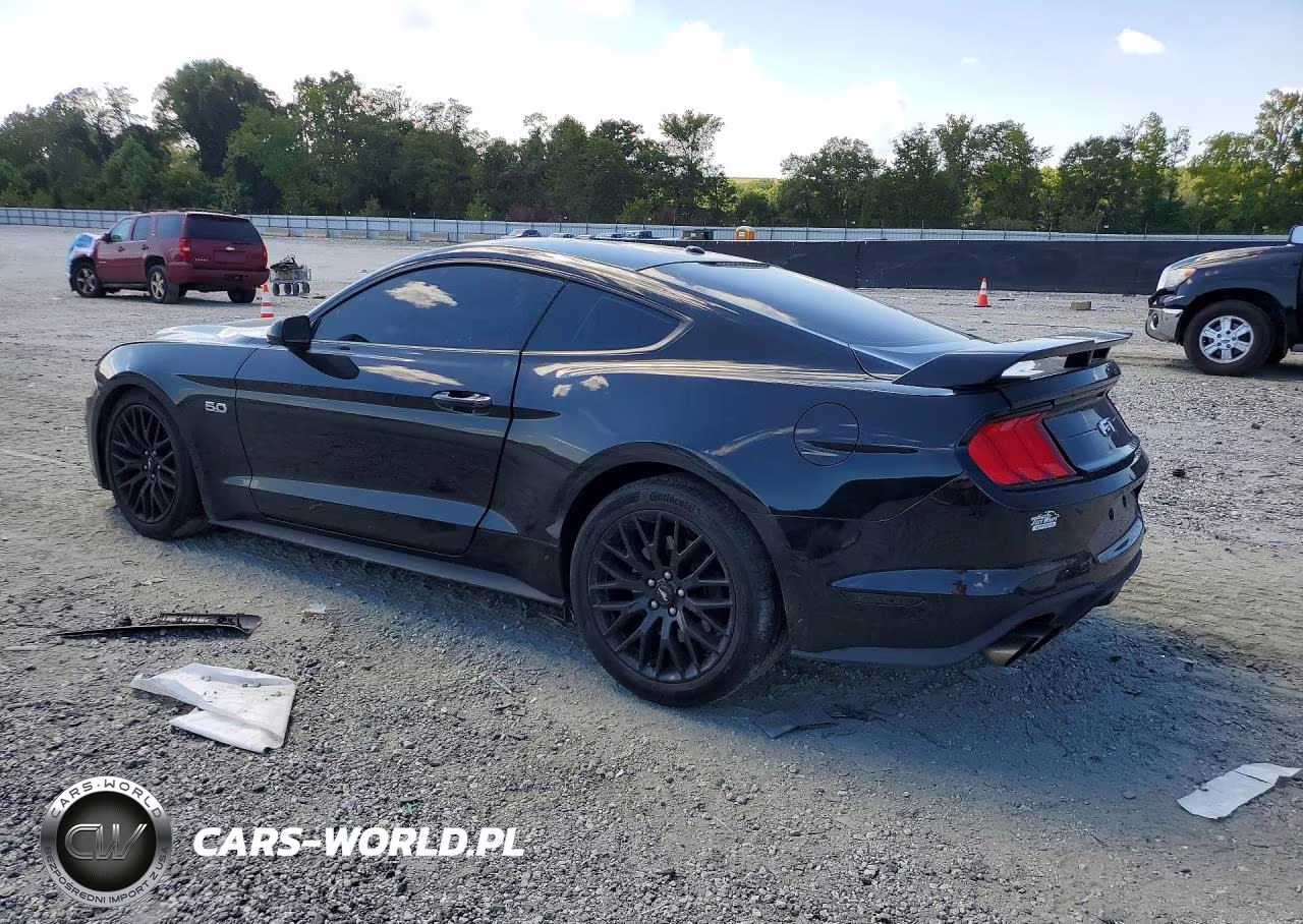 2019 Ford Mustang Gt VIN:1FA6P8CF0K5111664 - 2