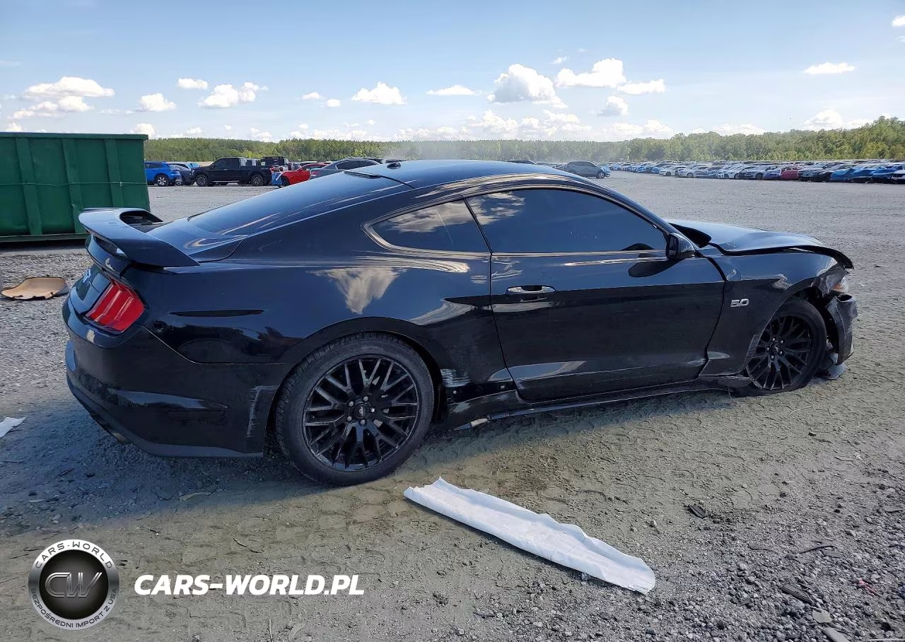 2019 Ford Mustang Gt VIN:1FA6P8CF0K5111664 - 3