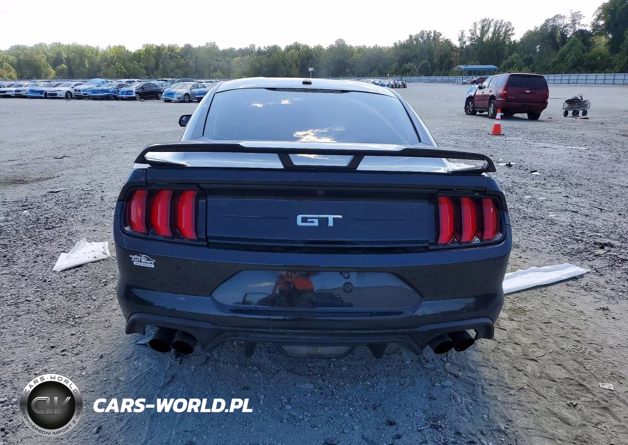 2019 Ford Mustang Gt VIN:1FA6P8CF0K5111664 - 6