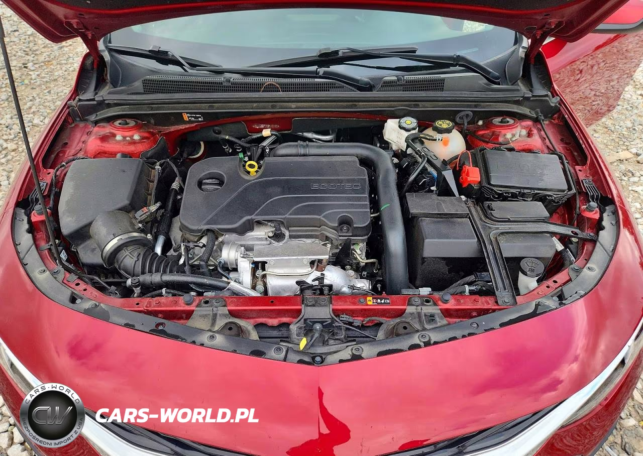 2024 Chevrolet Malibu Rs VIN:1G1ZG5ST3RF118165 - 11