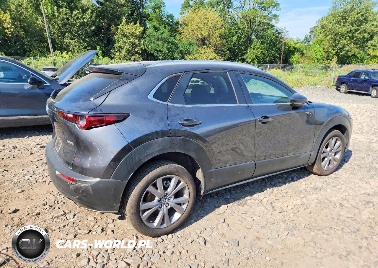 2025 Mazda Cx-30 Preferred VIN:3MVDMBCM2SM847858 - 3