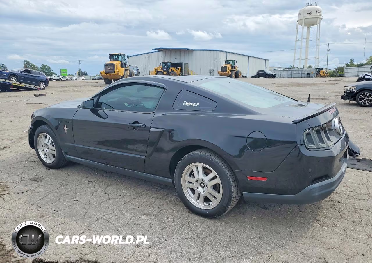 2010 Ford Mustang VIN:1ZVBP8AN5A5179974 - 2