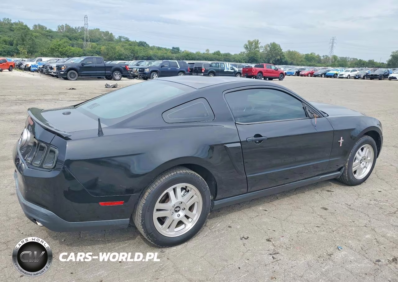 2010 Ford Mustang VIN:1ZVBP8AN5A5179974 - 3