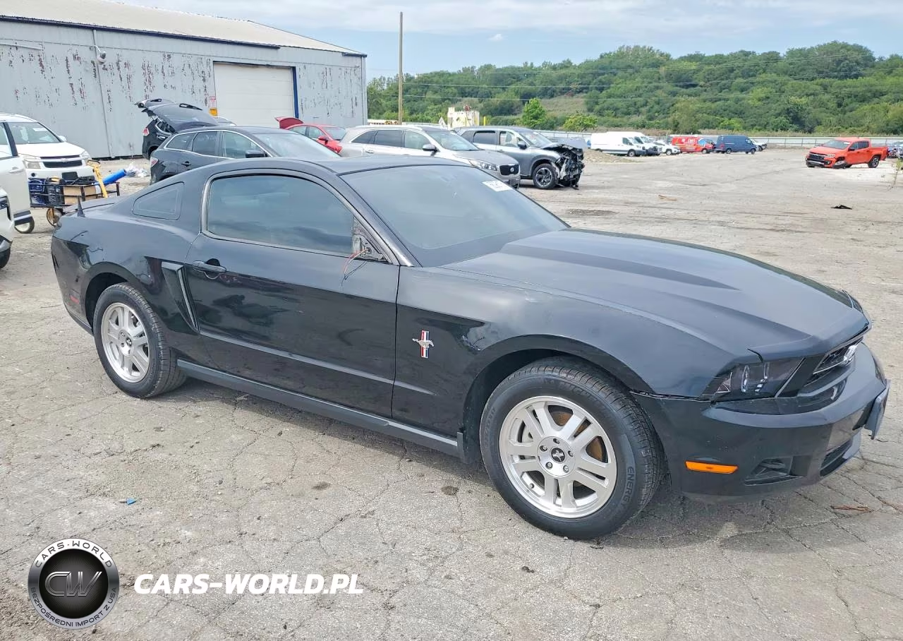 2010 Ford Mustang VIN:1ZVBP8AN5A5179974 - 4