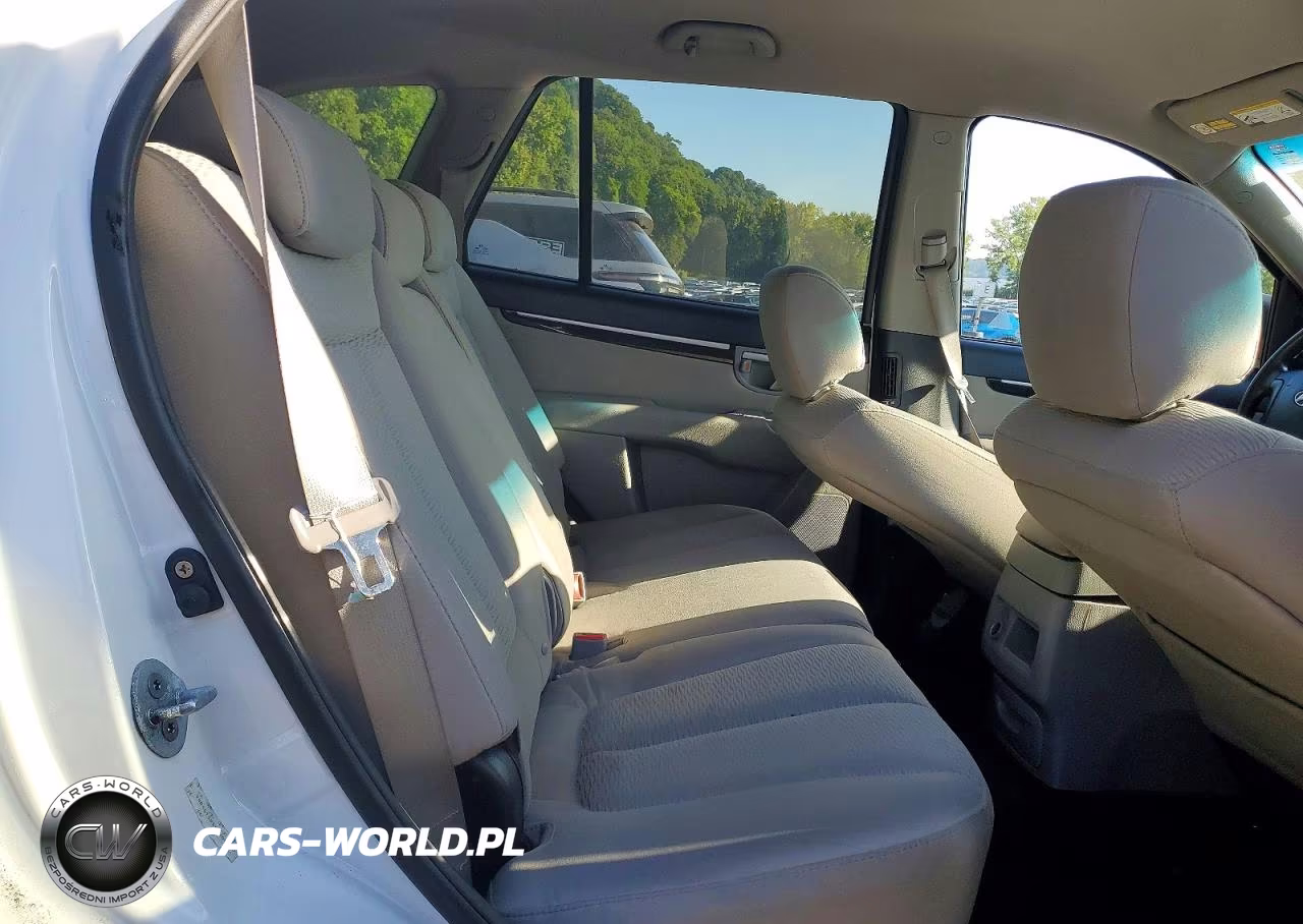 2009 Hyundai Santa Fe Gls VIN:5NMSG13D59H264093 - 11