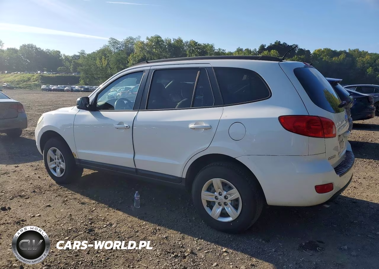 2009 Hyundai Santa Fe Gls VIN:5NMSG13D59H264093 - 2