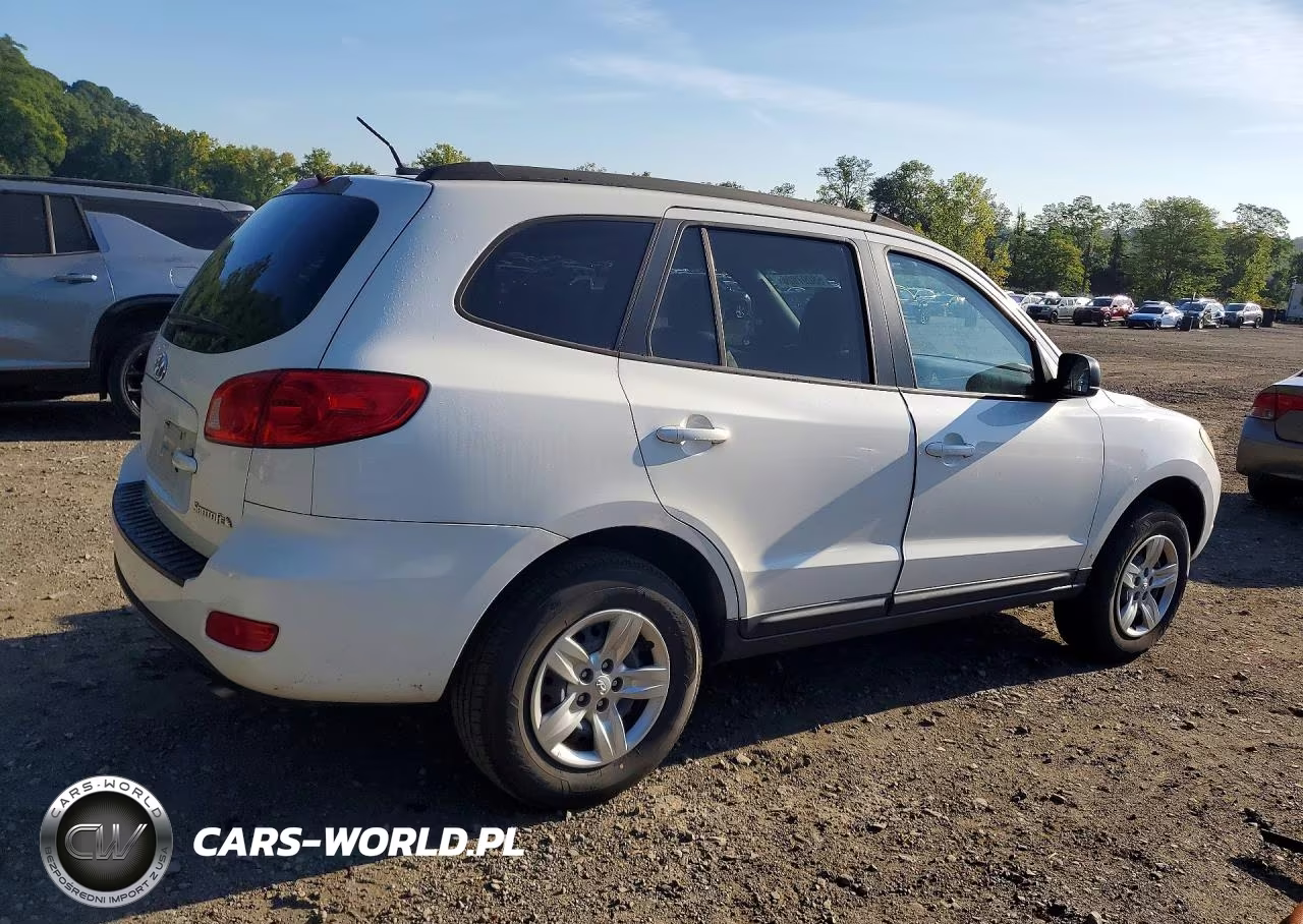 2009 Hyundai Santa Fe Gls VIN:5NMSG13D59H264093 - 3