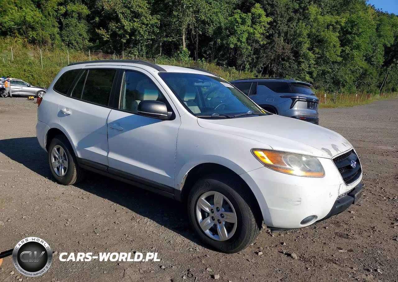 2009 Hyundai Santa Fe Gls VIN:5NMSG13D59H264093 - 4