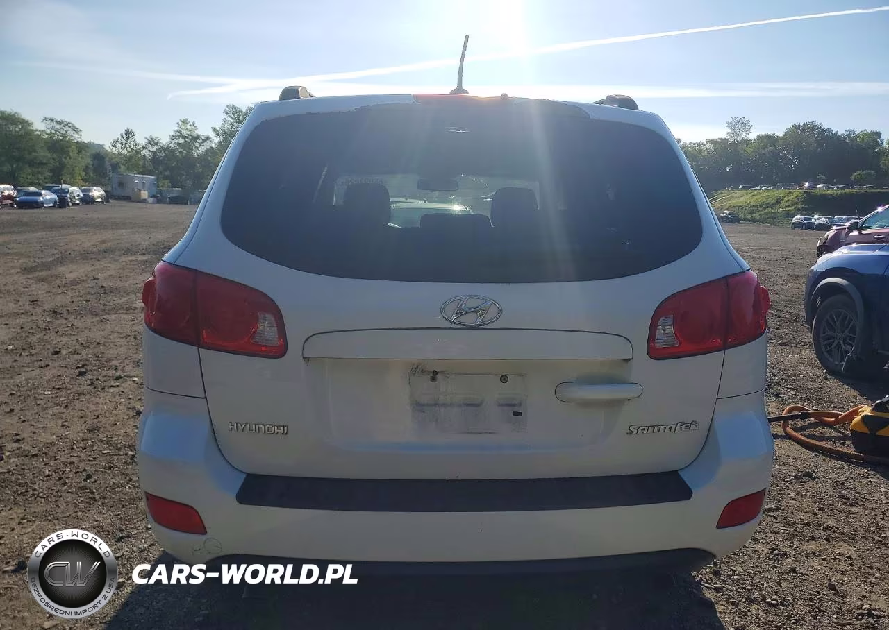 2009 Hyundai Santa Fe Gls VIN:5NMSG13D59H264093 - 6