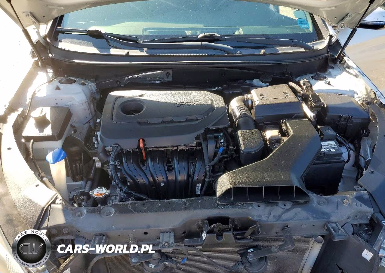 2019 Hyundai Sonata Sport VIN:5NPE34AF3KH739571 - 11