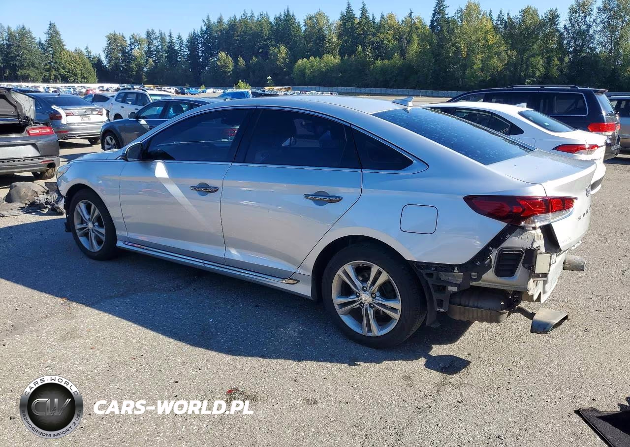 2019 Hyundai Sonata Sport VIN:5NPE34AF3KH739571 - 2