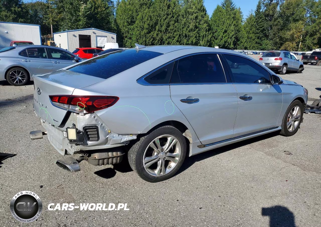 2019 Hyundai Sonata Sport VIN:5NPE34AF3KH739571 - 3