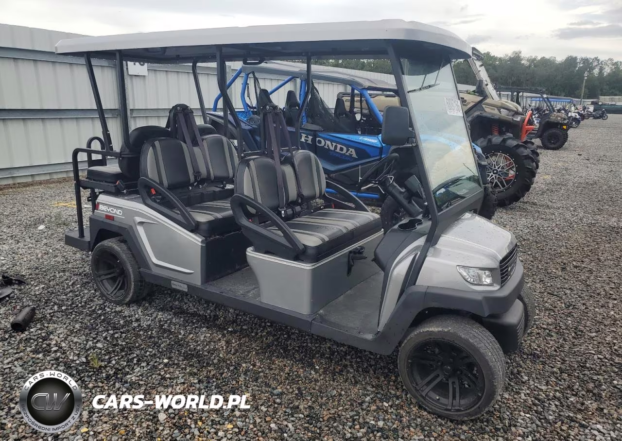 2021 Bintelli Golf Cart – zdjęcie 1 z 10