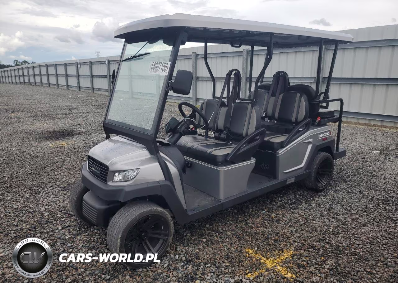 2021 Bintelli Golf Cart VIN:1G9BA4217MC411652 - 2