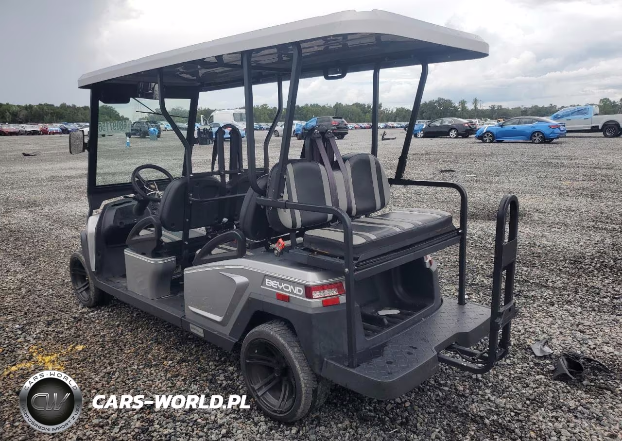 2021 Bintelli Golf Cart VIN:1G9BA4217MC411652 - 3