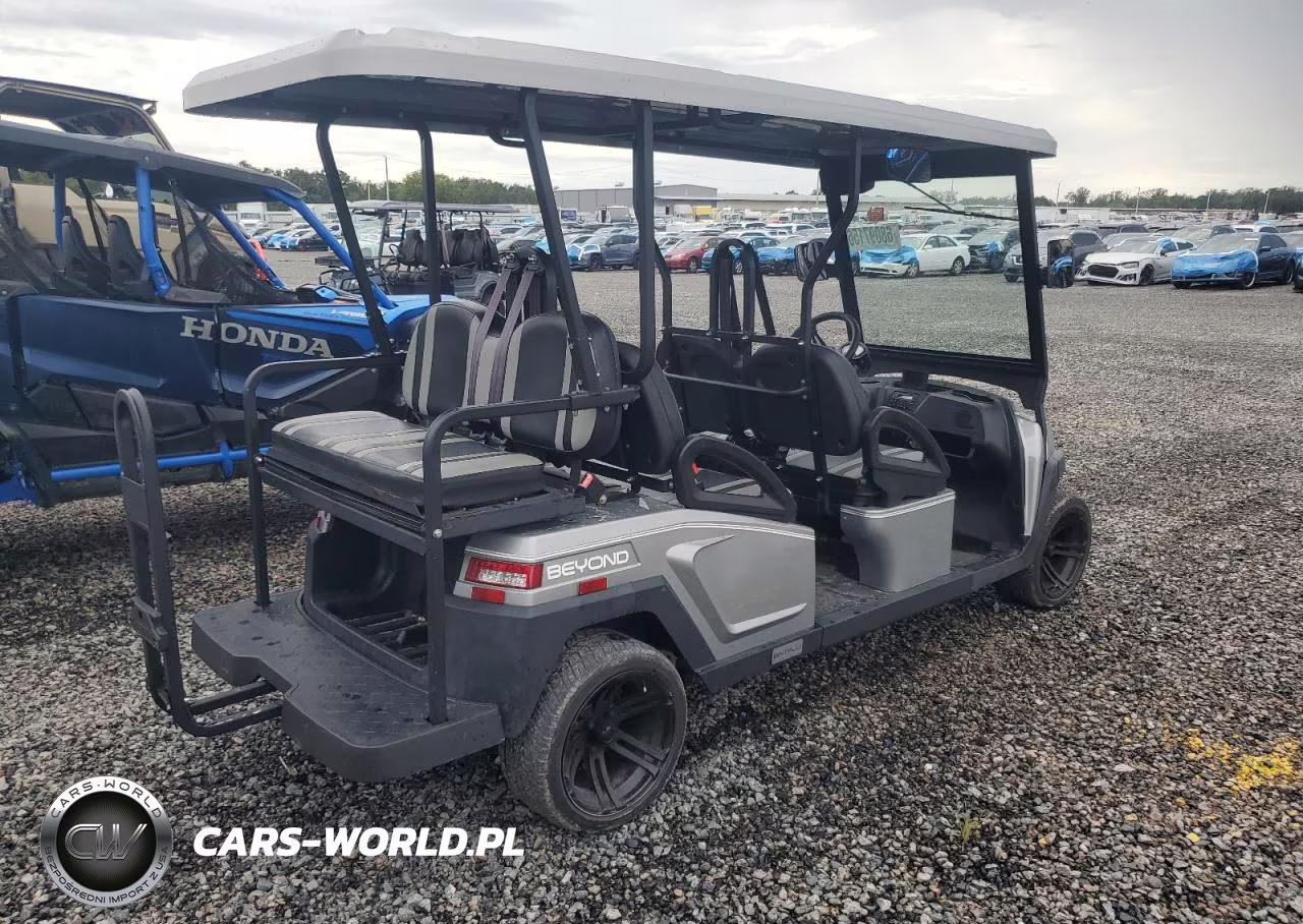 2021 Bintelli Golf Cart VIN:1G9BA4217MC411652 - 4