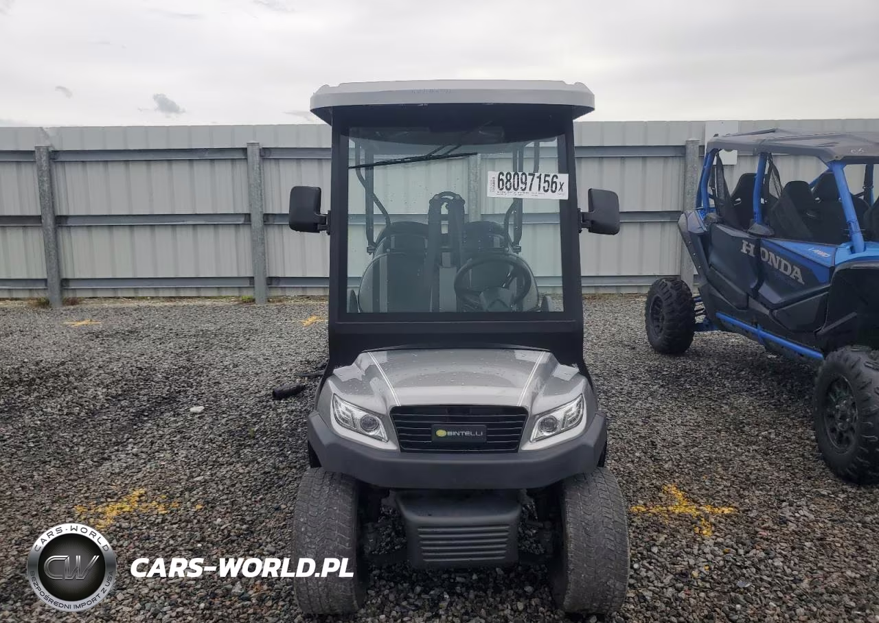 2021 Bintelli Golf Cart VIN:1G9BA4217MC411652 - 9
