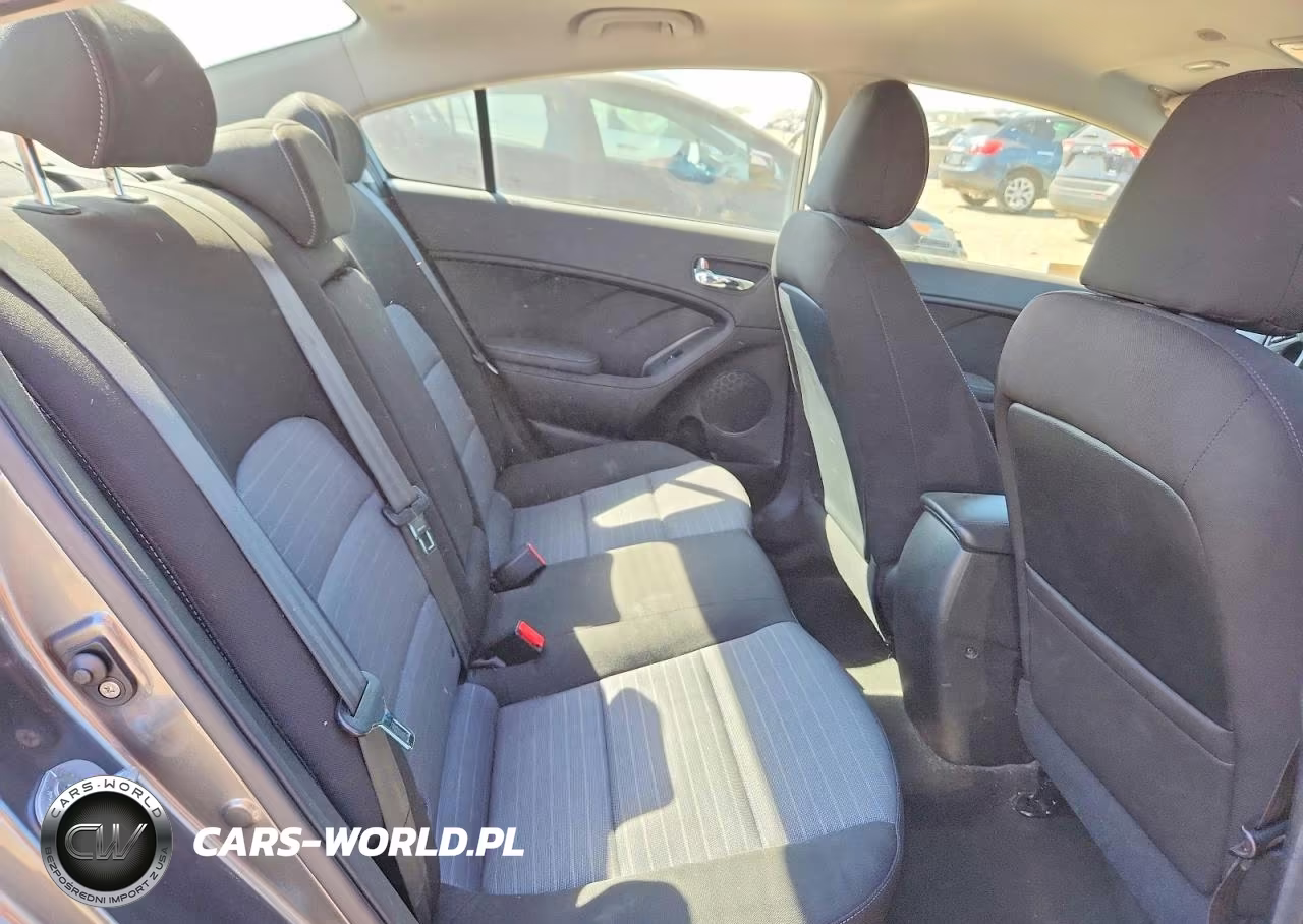 2014 Kia Forte Ex VIN:KNAFX4A84E5095462 - 10