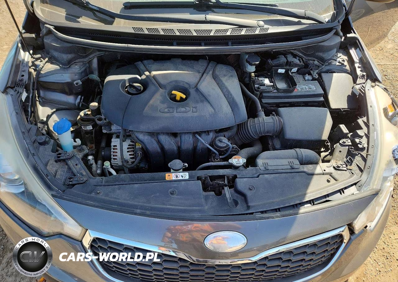 2014 Kia Forte Ex VIN:KNAFX4A84E5095462 - 11