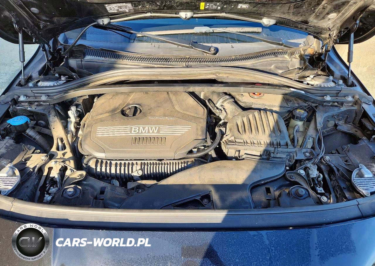 2022 BMW 228Xi VIN:WBA73AK06N7K45535 - 11