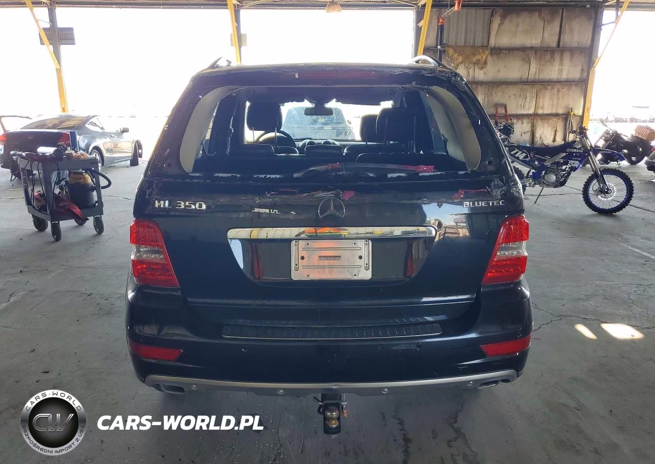 2010 Mercedes-Benz Ml 350 Bluetec VIN:4JGBB2FB9AA596451 - 6