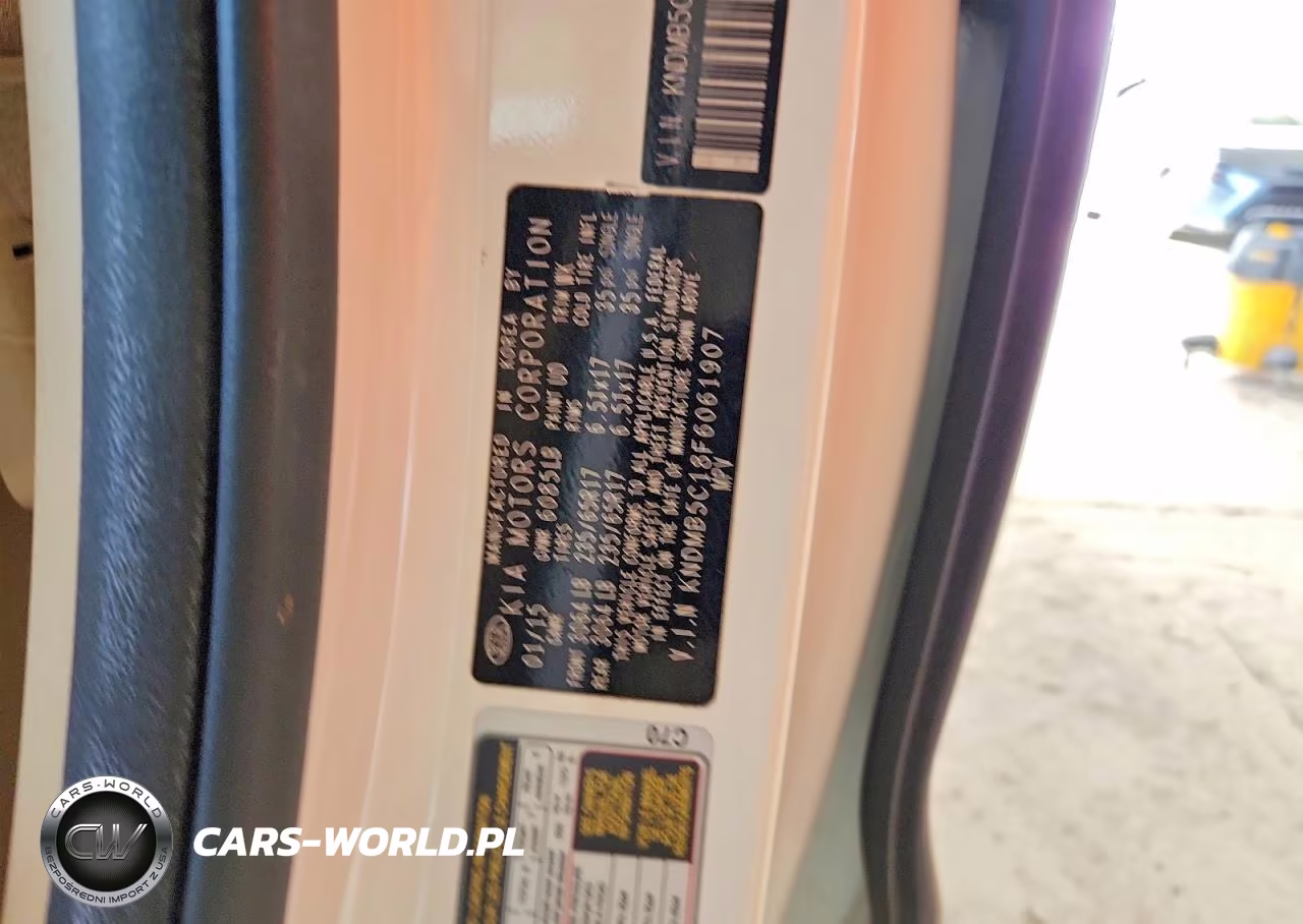 2015 Kia Sedona Lx VIN:KNDMB5C18F6061907 - 13