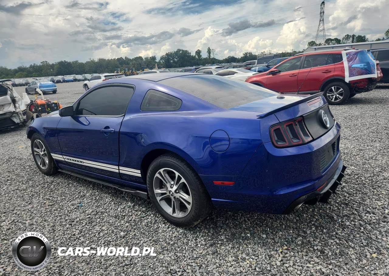2014 Ford Mustang VIN:1ZVBP8AM2E5224379 - 2