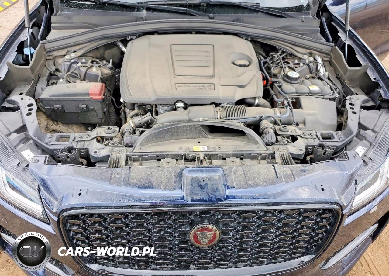 2023 Jaguar F-Pace S VIN:SADCJ2EX4PA710653 - 12