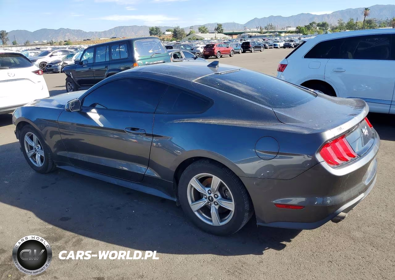 2020 Ford Mustang VIN:1FA6P8TH1L5163369 - 2