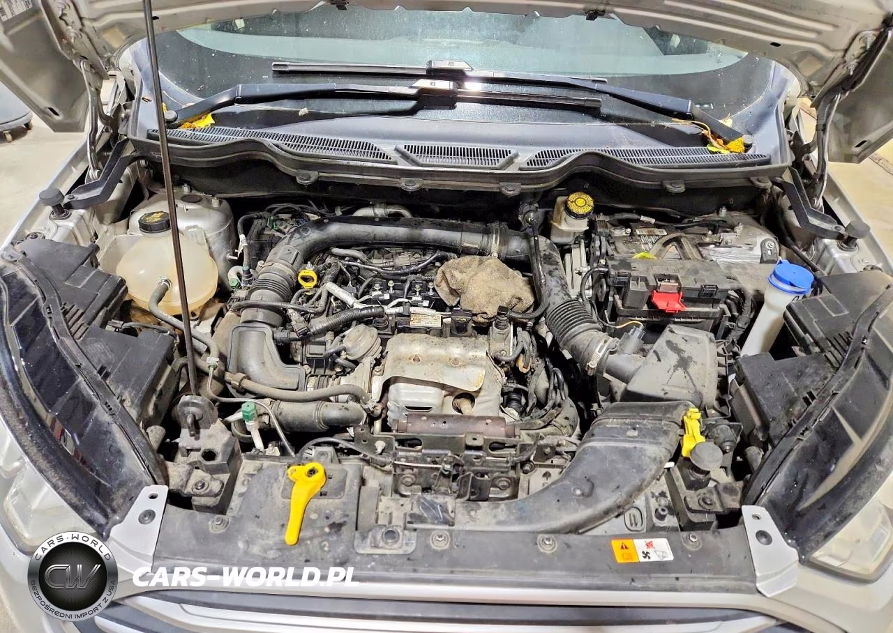 2018 Ford Ecosport Se VIN:MAJ3P1TE9JC243592 - 12