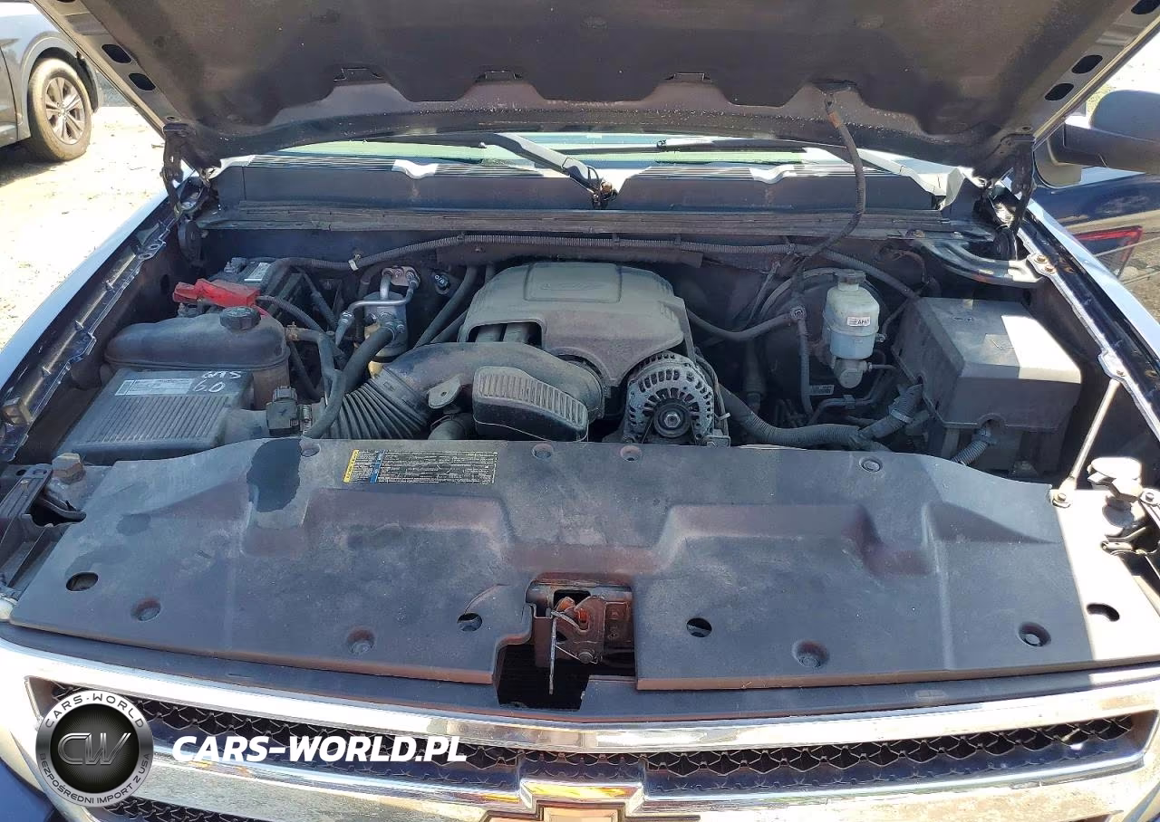 2010 Chevrolet Silverado C1500 Lt VIN:3GCRCSE03AG121735 - 11
