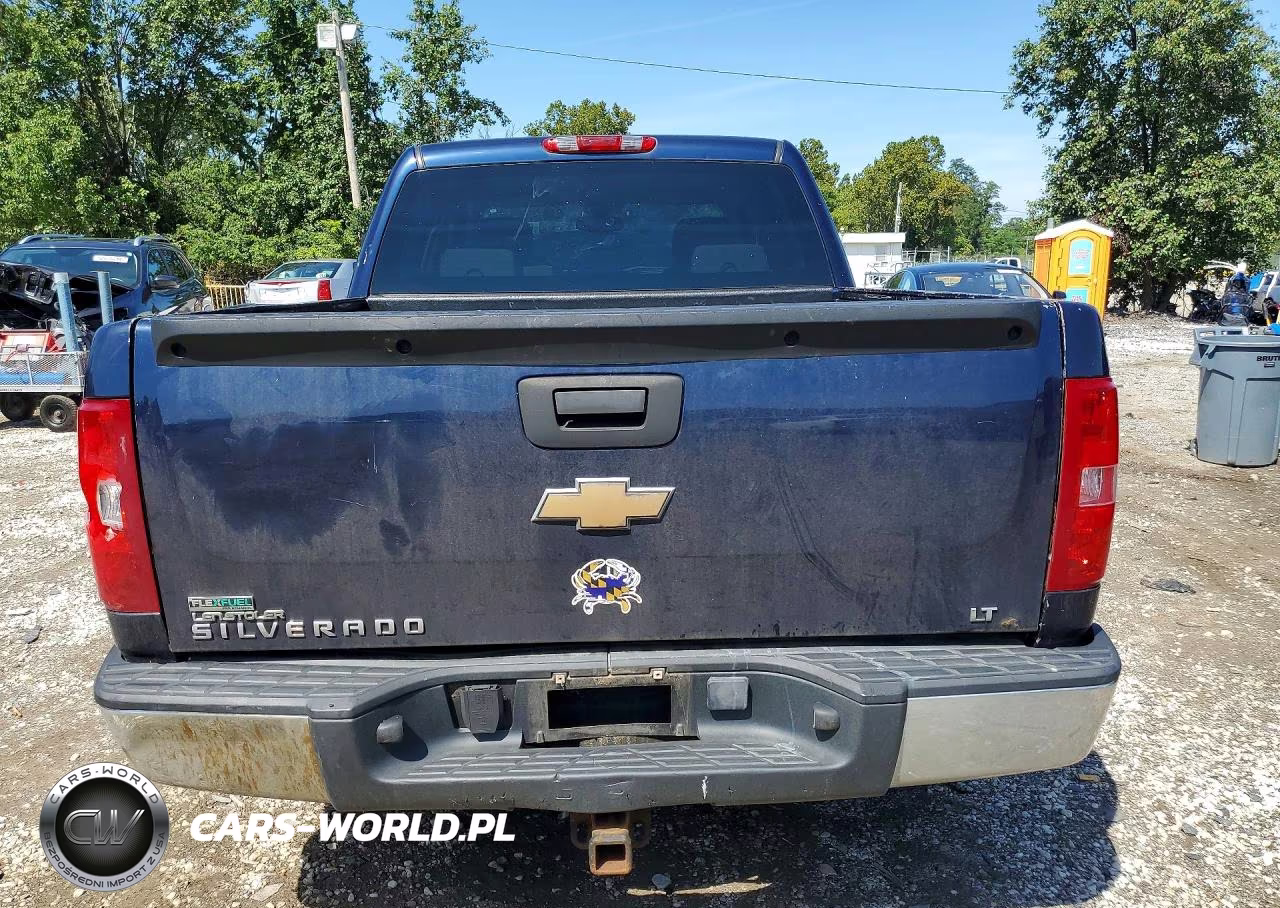 2010 Chevrolet Silverado C1500 Lt VIN:3GCRCSE03AG121735 - 6