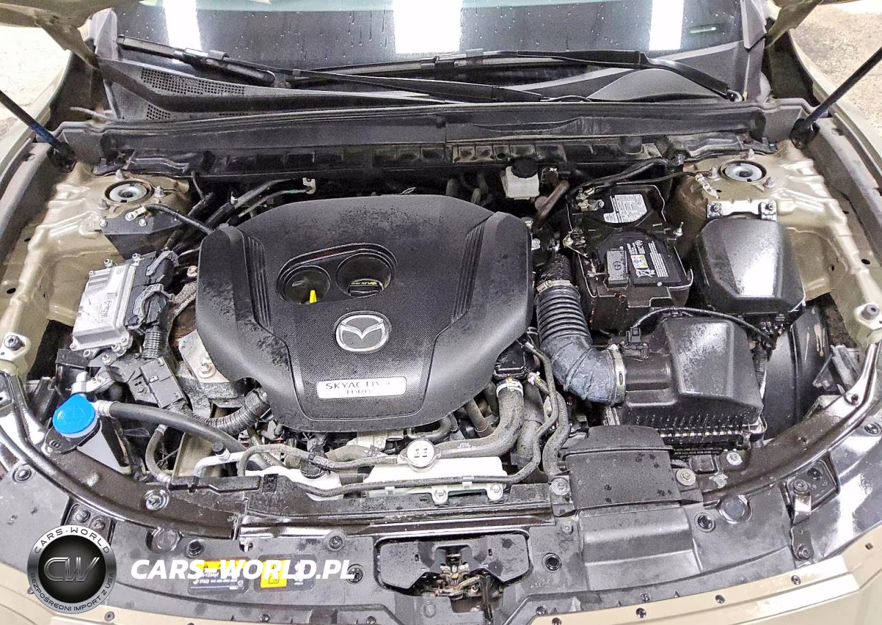 2025 Mazda Cx-50 Premium Plus VIN:7MMVABEY9SN384444 - 11