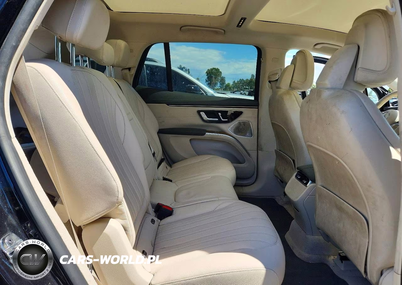 2023 Mercedes-Benz Eqs Suv 450+ VIN:4JGDM2DB7PA009789 - 10