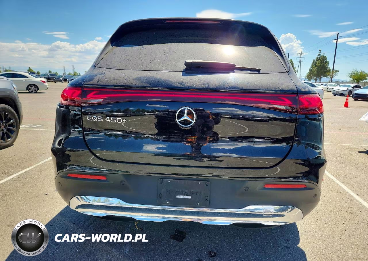 2023 Mercedes-Benz Eqs Suv 450+ VIN:4JGDM2DB7PA009789 - 6