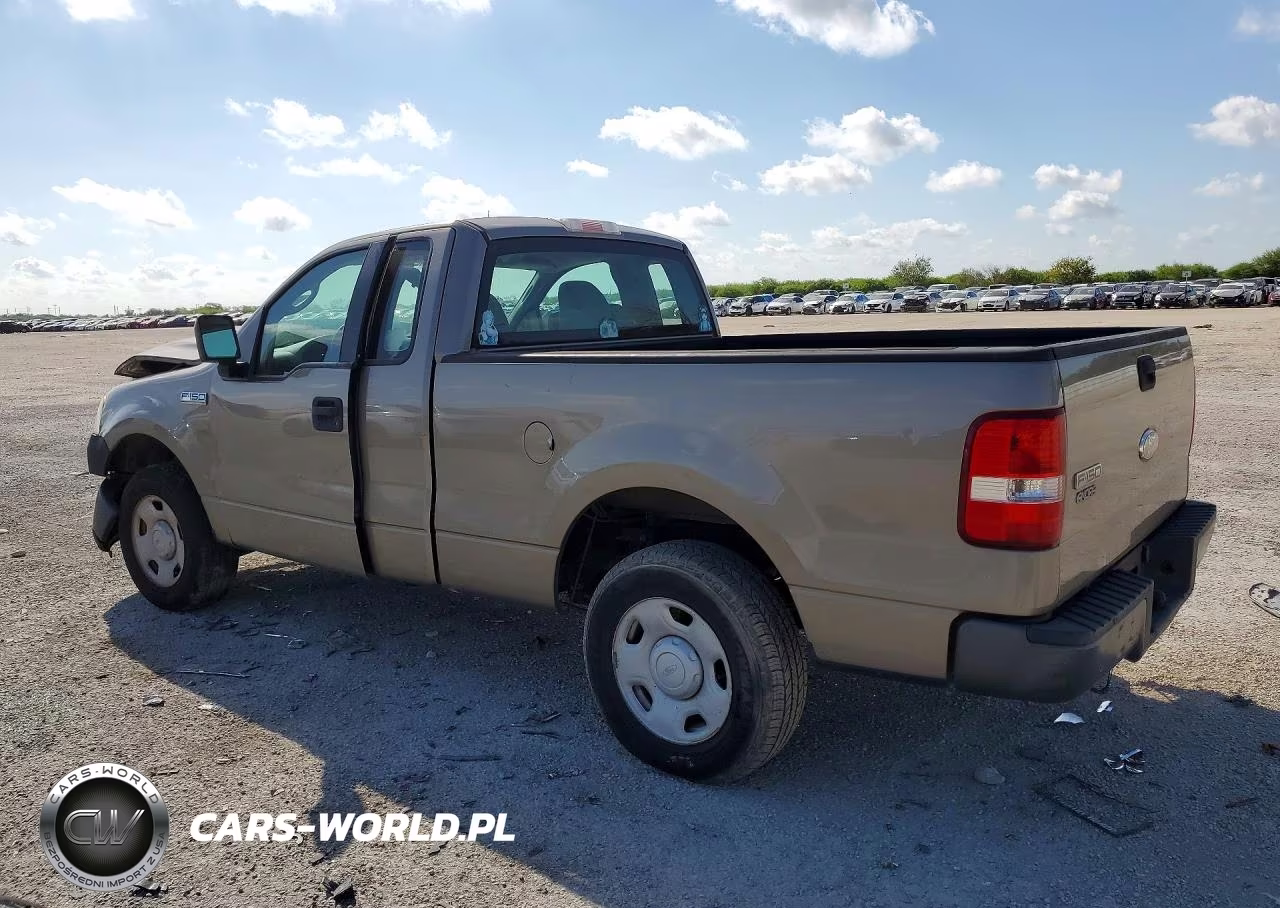 2006 Ford F150 VIN:1FTRF12206NB85480 - 2