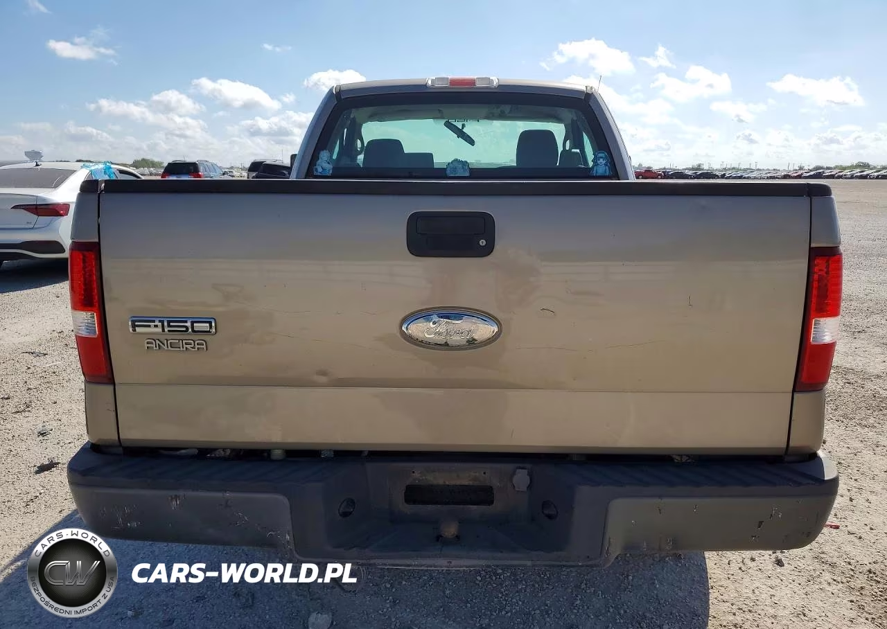 2006 Ford F150 VIN:1FTRF12206NB85480 - 6