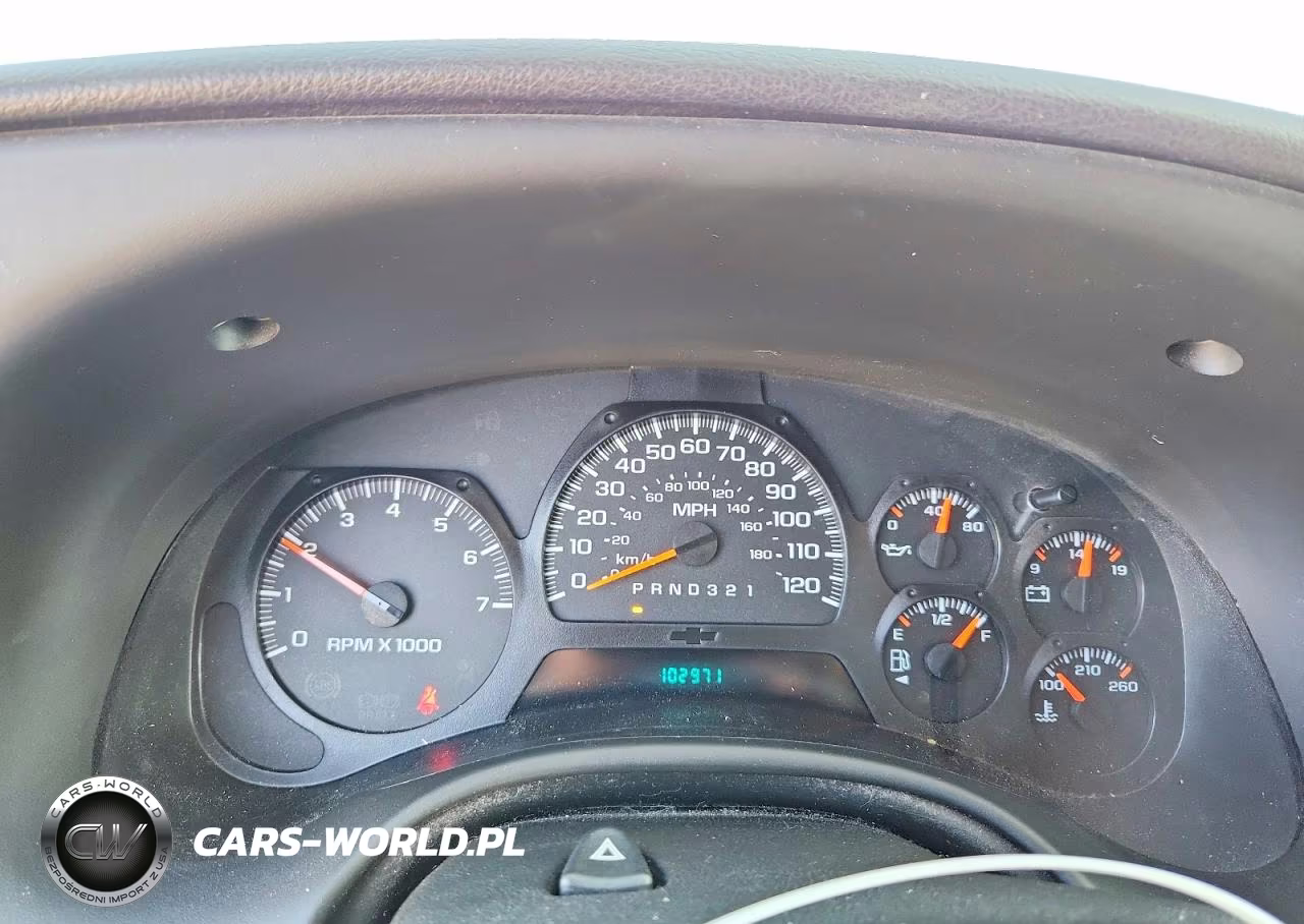 2009 Chevrolet Trailblazer Lt VIN:1GNDT33S492128578 - 9
