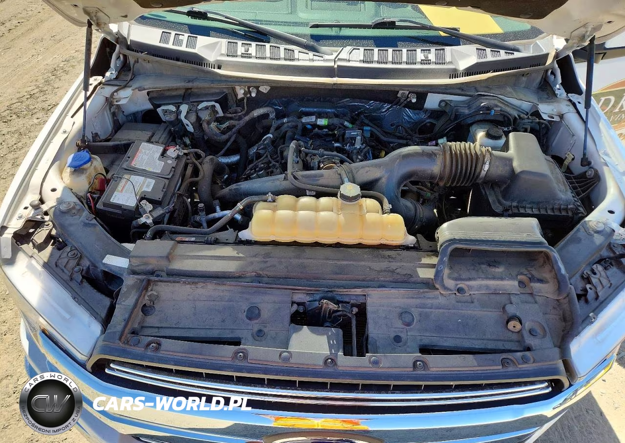 2019 Ford F150 Supercrew VIN:1FTEW1EP5KKC36330 - 11