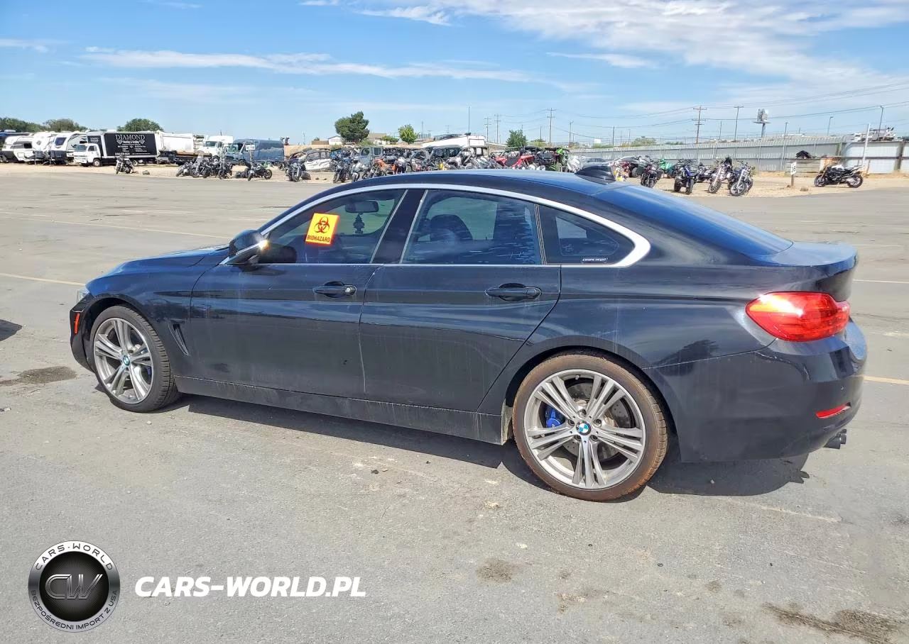 2016 BMW 428 I Gran Coupe Sulev VIN:WBA4A9C54GG695804 - 2