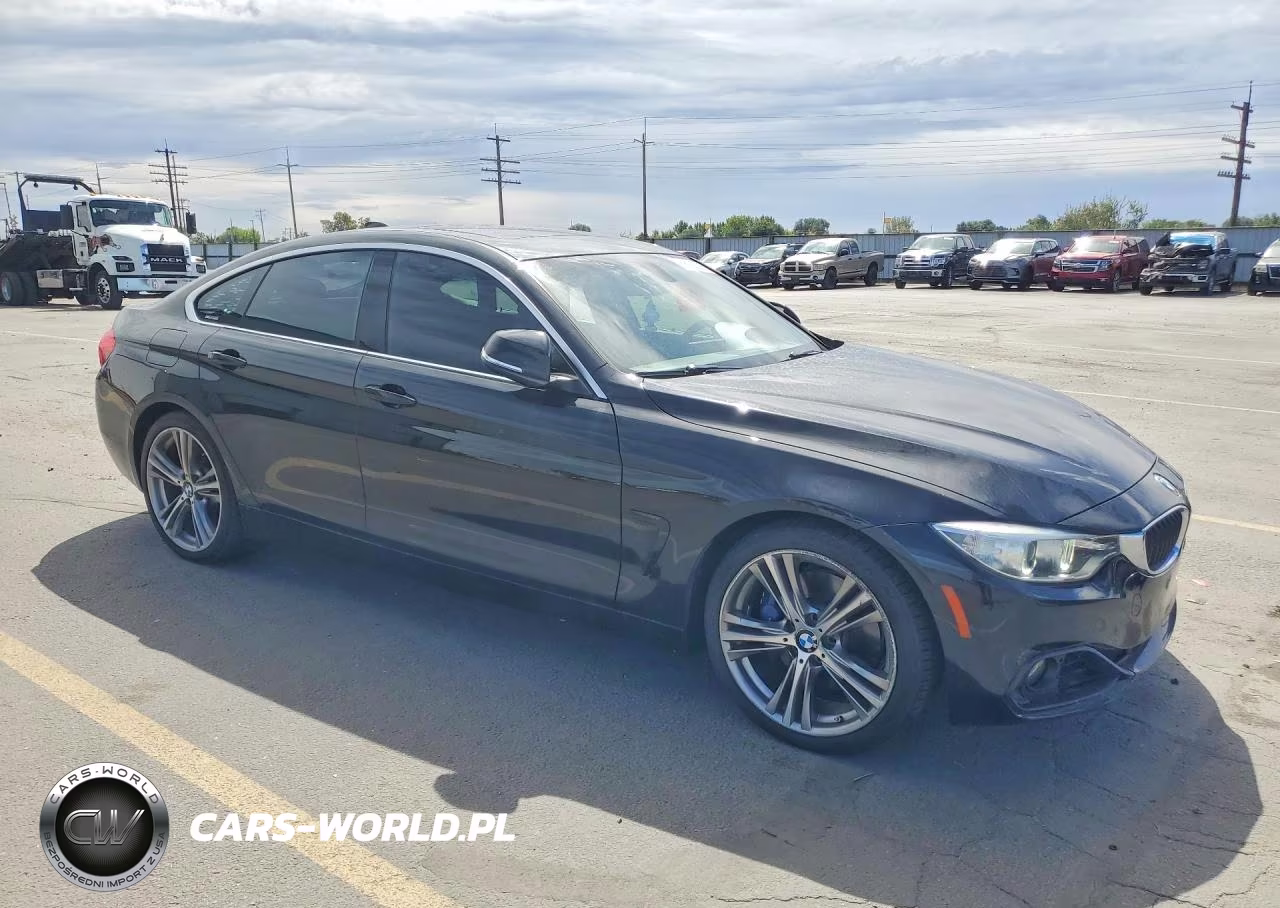 2016 BMW 428 I Gran Coupe Sulev VIN:WBA4A9C54GG695804 - 4