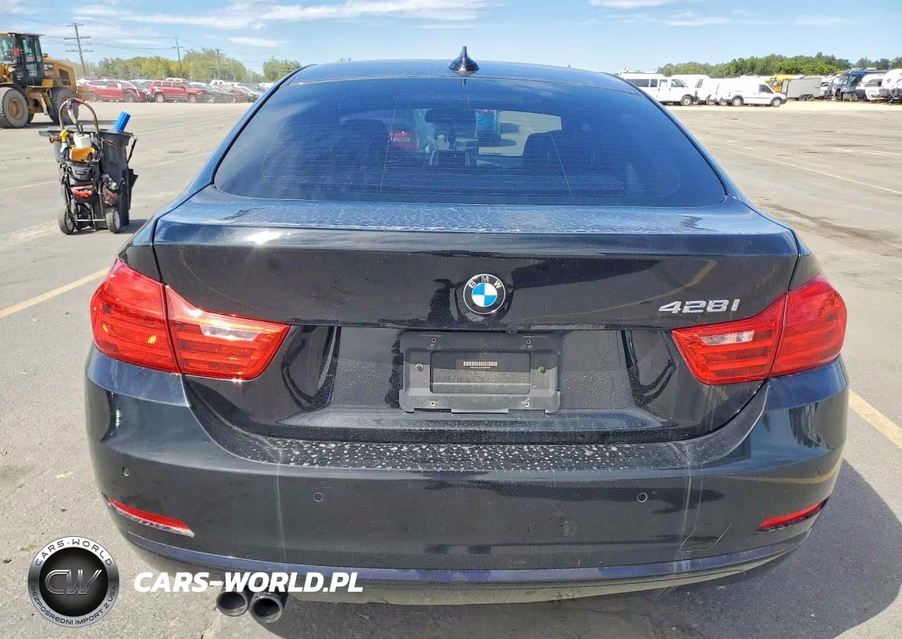 2016 BMW 428 I Gran Coupe Sulev VIN:WBA4A9C54GG695804 - 6
