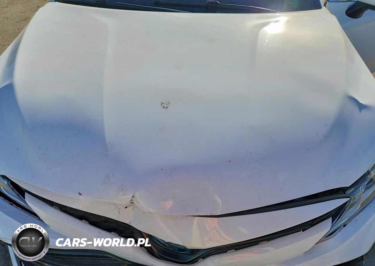 2020 Toyota Camry Le VIN:4T1C31AK5LU017248 - 11