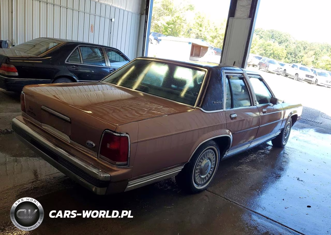 1991 Ford Crown Victoria VIN:2FACP73F6MX107052 - 3
