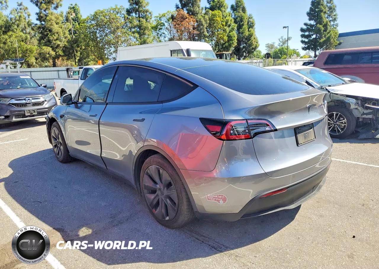 2025 Tesla Model Y VIN:7SAYGDED0SF231067 - 2