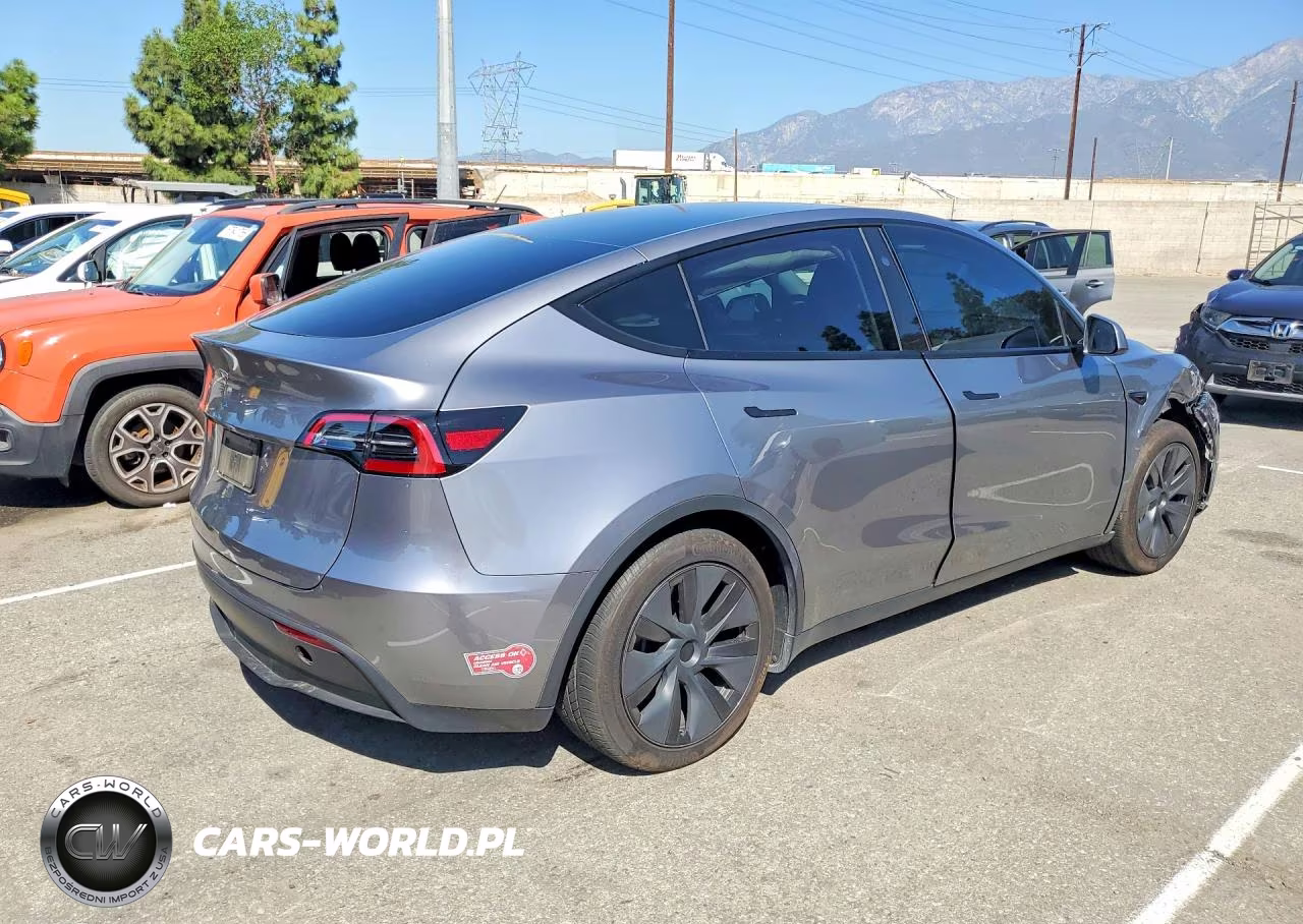 2025 Tesla Model Y VIN:7SAYGDED0SF231067 - 3