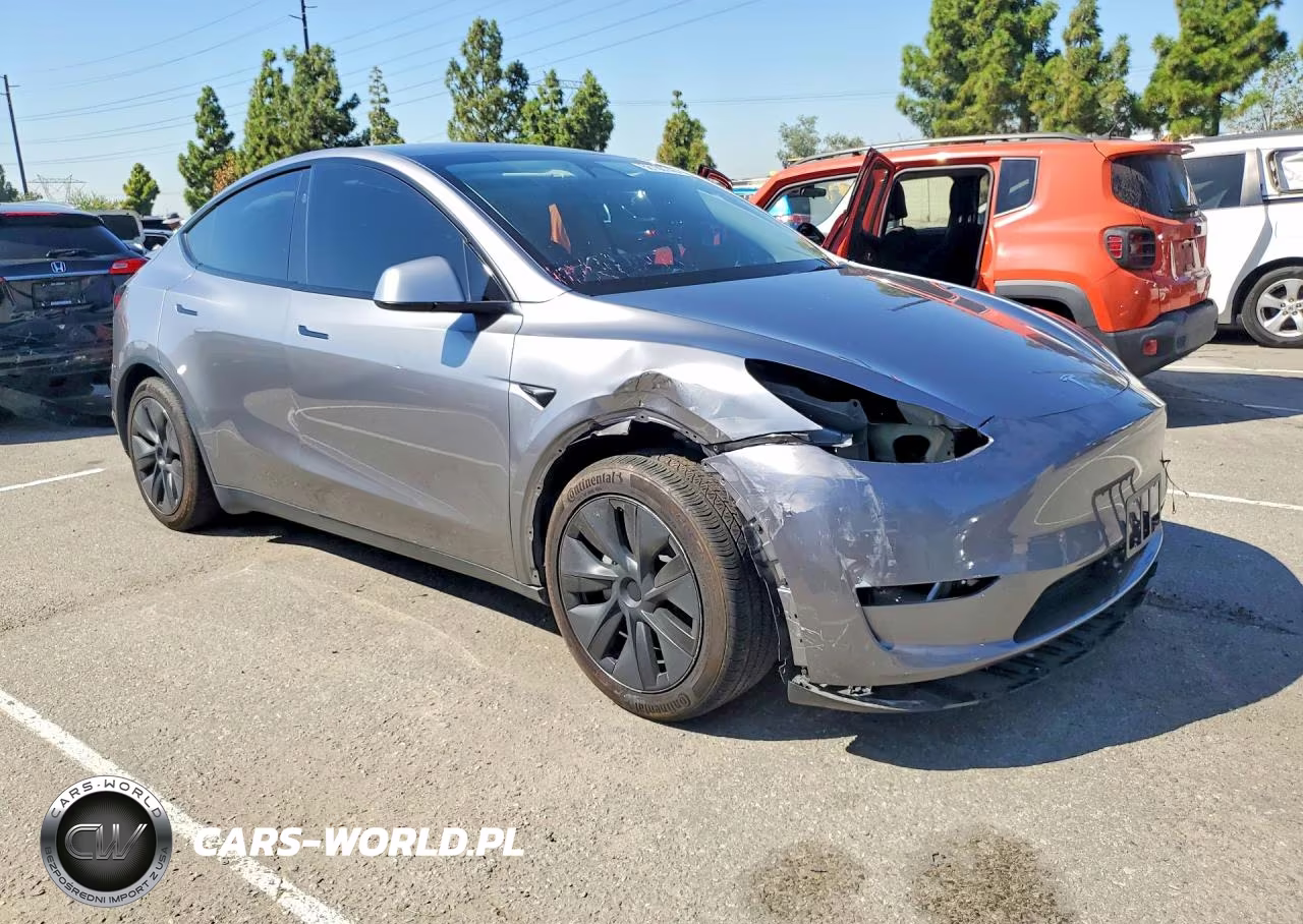 2025 Tesla Model Y VIN:7SAYGDED0SF231067 - 4