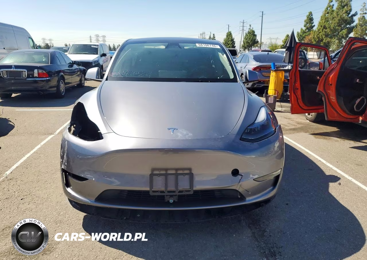 2025 Tesla Model Y VIN:7SAYGDED0SF231067 - 5